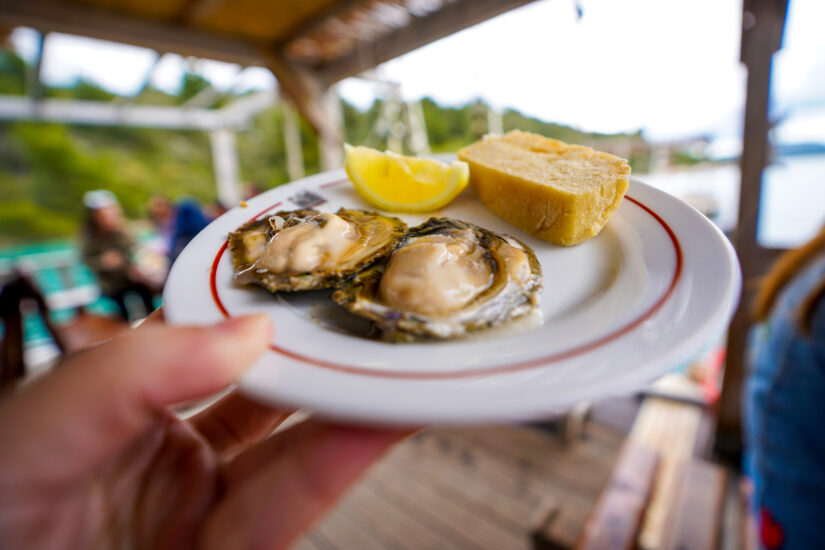 Oysters are best savored fresh from the Croatian sea